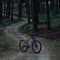 Orbea Onna 29 50 blau/weiss Mountainbike M20717NB 8