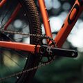 Orbea Onna 29 50 Mountainbike rot M20721NA 13