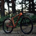Orbea Onna 29 40 Mountainbike rot M20817NA 14