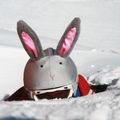 COOLCASC Bunny Helm Overlay grau 003 4