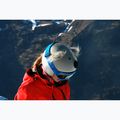 COOLCASC Koala grau Helm Overlay 43 10
