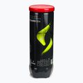 Padelbälle Siux Neo Box 72 pack red 3