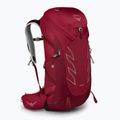 Herren-Trekking-Rucksack Osprey Talon 36 l (S-M) cosmic red
