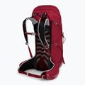 Herren-Trekking-Rucksack Osprey Talon 36 l (S-M) cosmic red 2