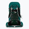Frauen-Trekking-Rucksack Osprey Tempest 34 l jasper grün 3