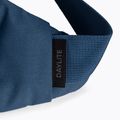 Osprey Daylite Waist 2L Hüfttasche navy blau 10003247 8