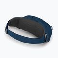 Osprey Daylite Waist 2L Hüfttasche navy blau 10003247 11