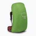 Damen Trekkingrucksack Osprey Aura AG 65 l M-L berry sorbet red 5