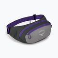 Osprey Daylite Waist 2L grau-violett Hüfttasche 10004202 8