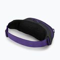 Osprey Daylite Waist 2L grau-violett Hüfttasche 10004202 10