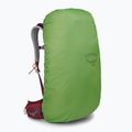 Osprey Stratos 44 l Wanderrucksack rot 10004264 8