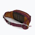 Hüfttasche Osprey Seral 4 lila 1592 7