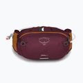 Hüfttasche Osprey Seral 4 lila 1592 9