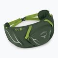 Osprey Duro Dyna 2 l Seetang grün/Limone Nierentasche 2