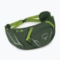 Osprey Duro Dyna 2 l Seetang grün/Limone Nierentasche 2