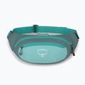 Bauchtasche Osprey Daylite Waist jetstream blue/cascade blue