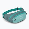 Bauchtasche Osprey Daylite Waist jetstream blue/cascade blue 2