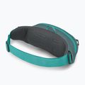 Bauchtasche Osprey Daylite Waist jetstream blue/cascade blue 3