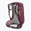 Osprey Sirrus 24 l Damen Wanderrucksack elderberry lila / chiru tan 2