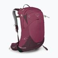 Osprey Sirrus 24 l Damen Wanderrucksack elderberry lila / chiru tan 3