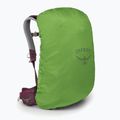 Osprey Sirrus 24 l Damen Wanderrucksack elderberry lila / chiru tan 4