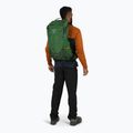 Wander Rucksack Herren Osprey Stratos 24 l seaweed/matcha green 6