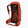 Herren-Trekking-Rucksack Osprey Talon Pro 30 l mars orange 2