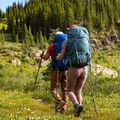 Frauen-Trekking-Rucksack Osprey Renn 50 l Giebel grau / Leinen tan 5