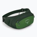 Bauchtasche Osprey Daylite Waist 2 l green bely/green canopy 2