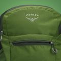 Osprey Daylite Plus 20 l grün belet / grün Canopy Wanderrucksack 4