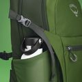 Osprey Daylite Plus 20 l grün belet / grün Canopy Wanderrucksack 6