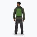 Osprey Daylite Plus 20 l grün belet / grün Canopy Wanderrucksack 7