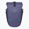Osprey Transporter Roll Top 20 l Stadt Rucksack Euphorie lila