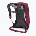 Osprey Hikelite 18 l Wanderrucksack Chamäleon / schwarz 3