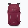 Wander Rucksack Osprey Hikelite 26 l chameleon/ black