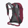 Wander Rucksack Osprey Hikelite 26 l chameleon/ black 4