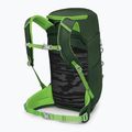 Wander Rucksack Kinder Osprey Jet 18 l green canopy/ limeline green 4