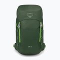 Tourenrucksack Osprey Jet 28 l green canopy