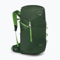 Wanderrucksack Osprey Jet 28 l green canopy 2