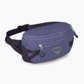 Osprey Transporter Waist Pack 3 l Euphorie Nierentasche 2