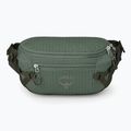 Osprey Transporter Waist Pack 3 l Kiefer Blatt Nierentasche