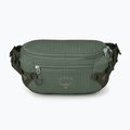 Osprey Transporter Waist Pack 3 l Kiefer Blatt Nierentasche