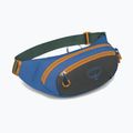 Bauchtasche Osprey Daylite Waist Earth 2 l dark charcoal/blue flame 2