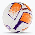 Joma Dali II Fußball weiß / fluor orange / lila Größe 5 2