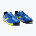 Joma Toledo Jr IN royal Fußballschuhe für Kinder 12