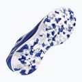 Fußballschuhe Herren Joma Liga 5 TF royal 12