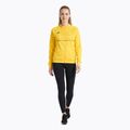 Women's Joma Record III Full Zip Laufsweatshirt gelb 2