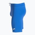 Herren Joma Record Tights Laufshorts royal 3