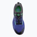 Herren Laufschuhe Joma Sierra electric blue 5