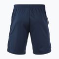 Shorts Herren Joma Terra dark navy/royal 2